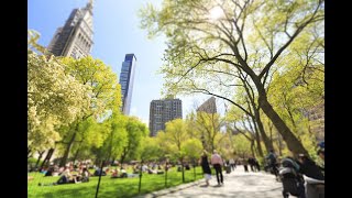 The Evelyn, NoMad, New York, NY 10016, United States of America