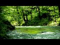 Forest River Flowing Sound in Green Nature. Flowing River, Water Sounds. White Noise for Sleeping.