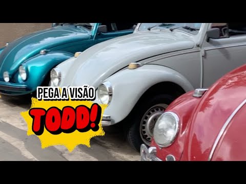 A Beetle for every decade in Tonella's Backyard!