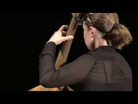 Double Bass Left Hand Position