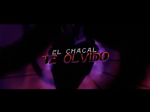 Miniatura de TE OLVIDO