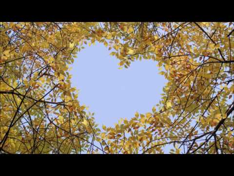 Geschenkte Momente      - Einklang-Link.com