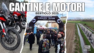 Video 11