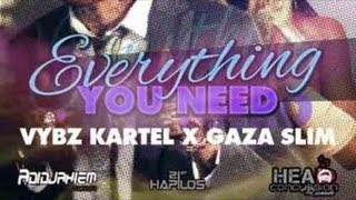 Vybz Kartel Ft. Gaza Slim - Everything You Need - Nov 2012