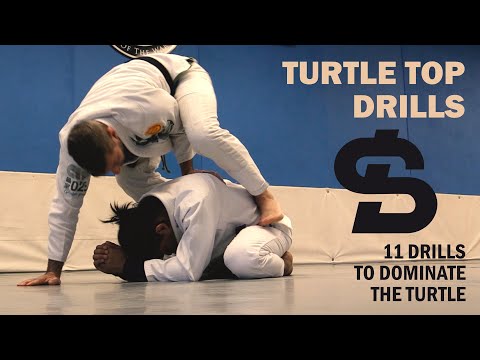 Jiu-Jitsu - Turtle Control Partner Drills