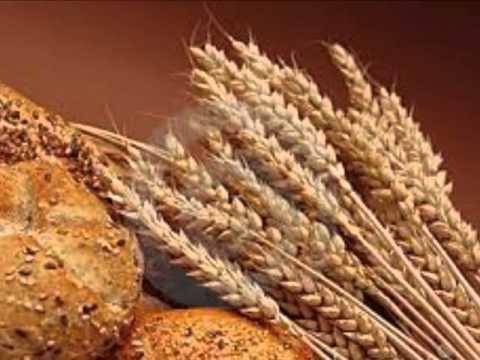 Liberdade Haverá video