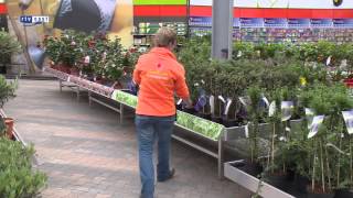 preview picture of video 'Drukte bij pas geopend tuincentrum Gartenwelt in Emsbüren'