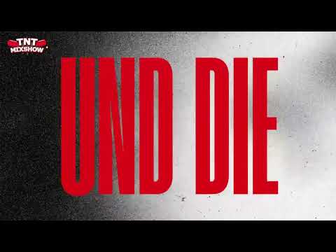 Jigzaw x Haftbefehl  ft. Scott Storch - All In  (Dj Cashesclay & Dj Mastablaze Remix)