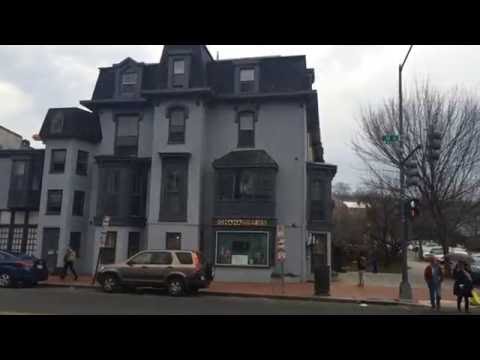 早稲田大学留学リポート2016 #8 アメリカン大学