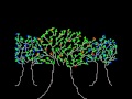 Crowded house English trees_Subtitulado.wmv