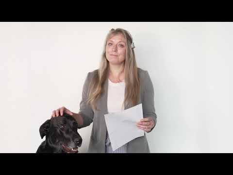 Break Up with your On-Premise NVR | Rhombus