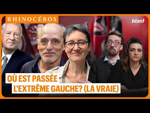 🦏 OÙ EST PASSÉE L'EXTRÊME GAUCHE ? (LA VRAIE)