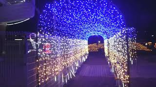 2023.12.17 大蔵海岸ハートフルイルミネーション2023