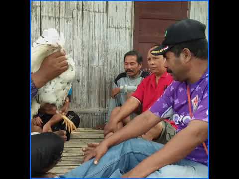 SMK Pelayaran Global Maritim Flores