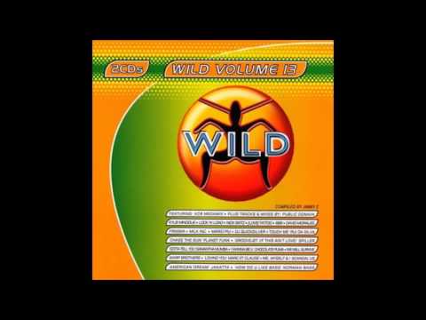 Wild Vol. 13 - Megamix by KCB