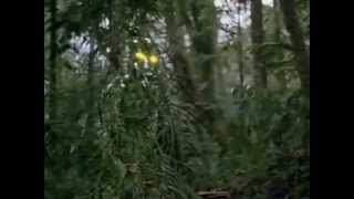 PREDATOR 1987 20th Anniversary Music Video - Out To Lunch (Motörhead)