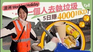 【澳洲打工度假體驗】在大型戶外音樂節撿垃圾5日賺4000 HKD?| 拜倫灣 Byron Bay Bluesfest Music Festival|中文 ENG Subtitles CC ON