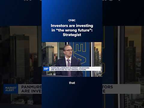 Investors are investing in "the wrong future": Strategist