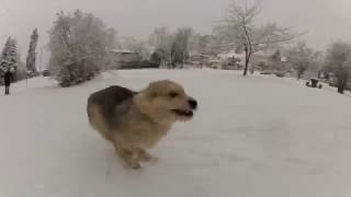 Let Spirits Ride - Black Mountain ....Driving to work