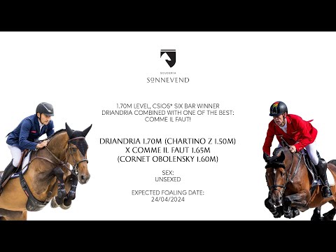 Driandria (1.70m) combined with Comme il faut!