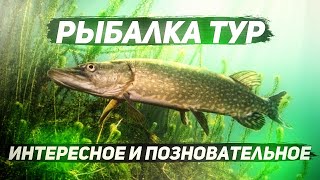 Рыбалка на реке яуза смоленской области