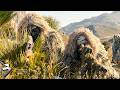 Deadliest Stealth Takedowns Silent Kills In The SNIPER Series Tom Berenger Chad Michael Collins
