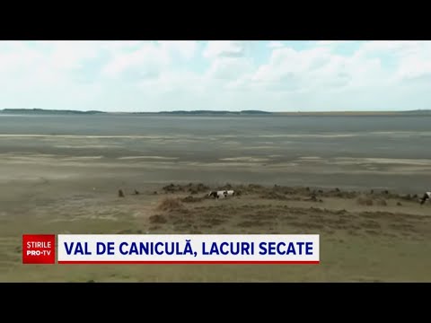 Lacul Amara, de sute de hectare, a secat complet