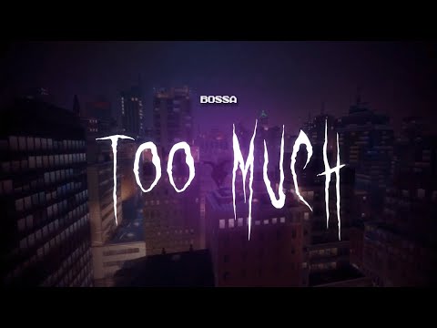 bossa - too much [ sped up ] lyrics