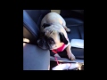 Pugs In The Car