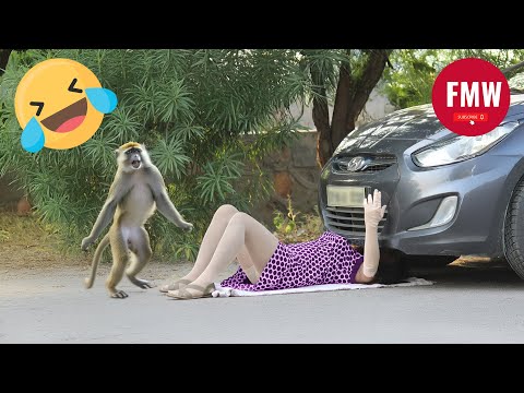 Funny & Hilarious People's Life 😂 #205 - Try not to Laugh | Instant Regret Fails Compilation 2024