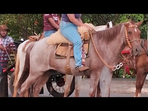 Carro de boi passando em  inhumas GO 