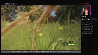 [THE HUNTER]#2　大自然へ冒険！　初見さん大歓迎！！　コメントしていってね！