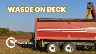 Corn and Soybean Funds Record Long Ahead of WASDE