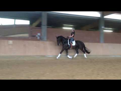 02 Django unchained Wallach *2012