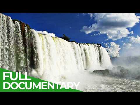 Source of Life Brazil's Mightiest River