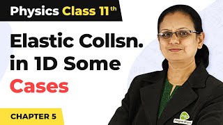 Elastic Collision in One Dimension : Particular Cases - Work, Energy and Power | Class 11 Physics