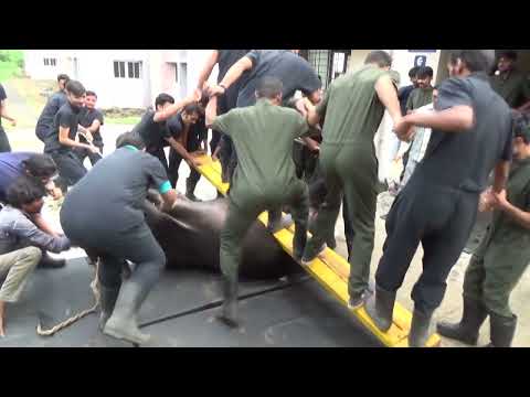 Dr. Sara May, Allergy and Immunology