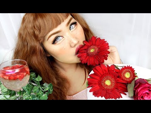 download lagu mp3 mp4 Eating Flowers, download lagu Eating Flowers gratis, unduh video klip Eating Flowers