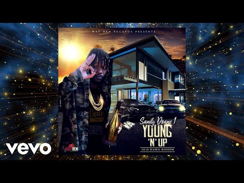 Sanity DSane1 - Young N Up (Official Audio)