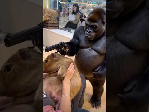 Capybara’s bodyguard arrives 🦍