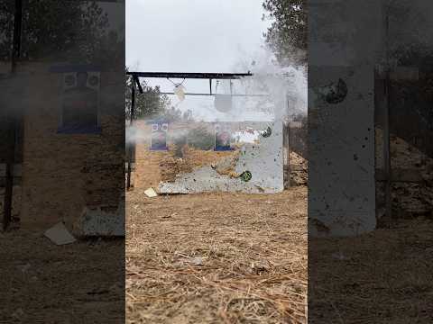 22-250 Gel Test: Barnes, Hornady, \u0026 Winchester Loads Evaluated!