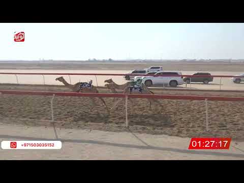  ش 27 (الشاهينيه) لـ عبدالله سيف بن محمد العميمي 2:17:72 ، شارة الصندوق 2026/08/21 فطامين الوثبة