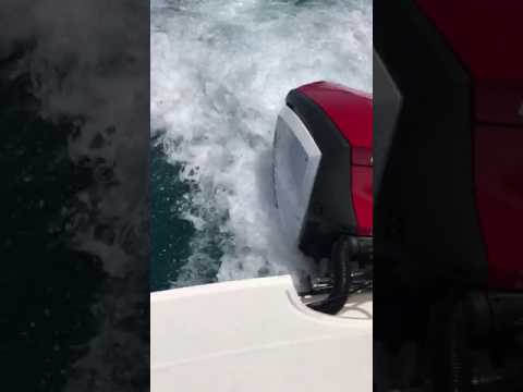 New Bayliner Vr5 Ob With Some Problems Bayliner Owners Club