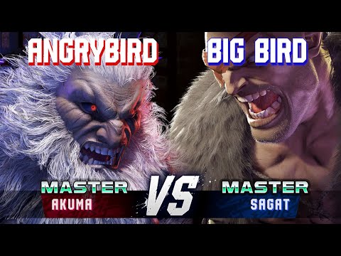 SF6 ▰ ANGRYBIRD (Akuma) vs BIG BIRD (Sagat) ▰ High Level Gameplay
