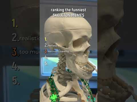 ranking the funniest skeleton memes #funny #skeleton #memes