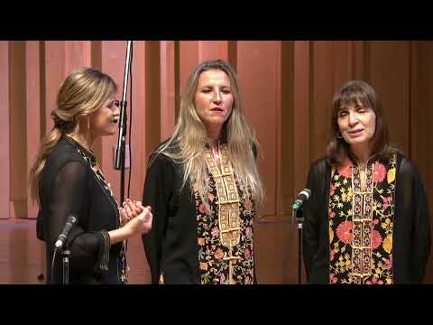 Klapa VALOVI - U zemlju latinsku (en vivo en La Usina del arte)