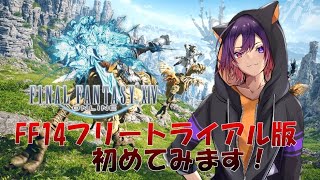 【FF14】FF14始めようとしたらコメント欄でめちゃくちゃ賑わった件【龍光寺シンバ】