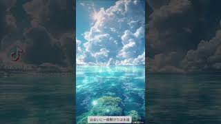 井上陽水&玉置浩二応援📣