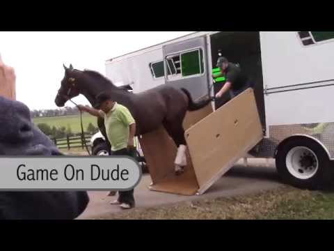 Game on Dude and Amazombie arrive at Old Friends