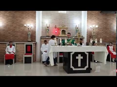 33ª Semana do Tempo Comum | Quinta-feira